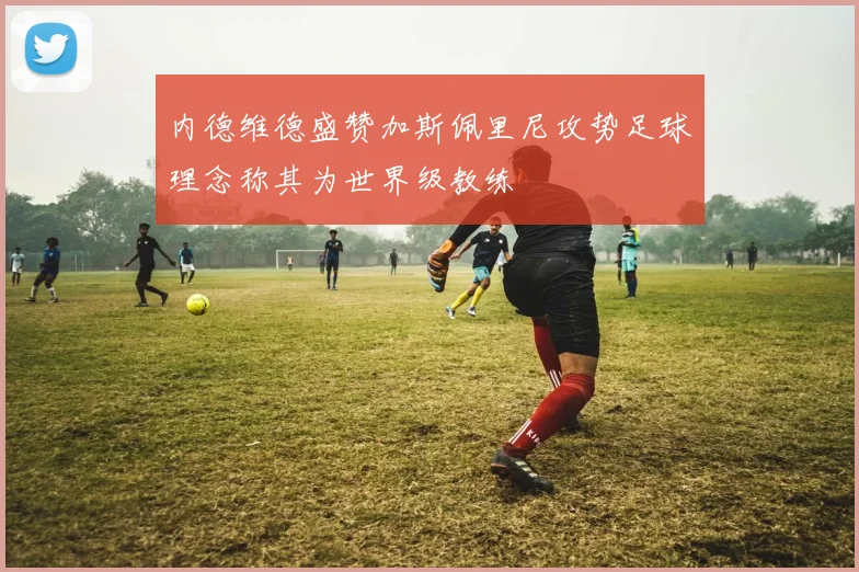 内德维德盛赞加斯佩里尼攻势足球理念称其为世界级教练
