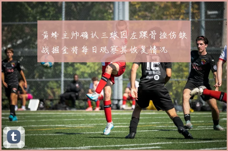 黄蜂主帅确认三球因左踝骨挫伤缺战掘金将每日观察其恢复情况