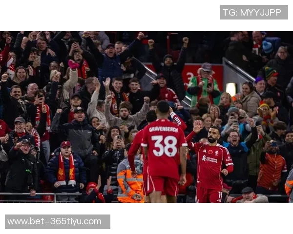 曼联伤情更新马兹拉维或战利物浦利马年底前有望复出 曼联伤情更新马兹拉维或战利物浦利马年底前有望复出